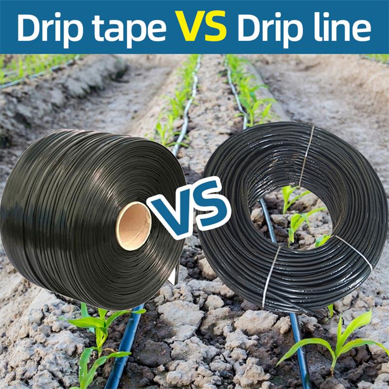 Drip Tape vs Drip Line