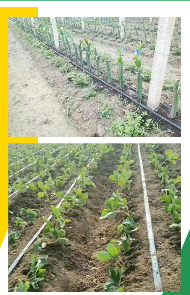 Drip Tape Irrigation System