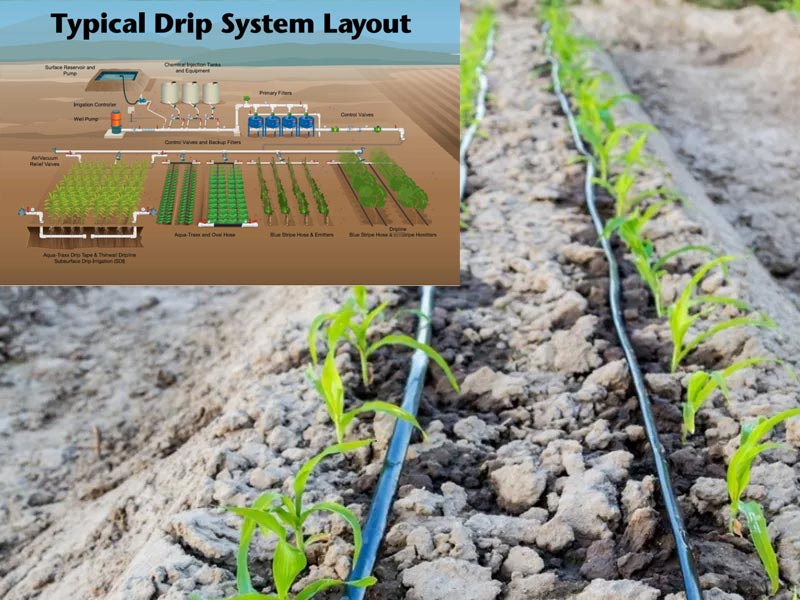 Key Components of a Drip Irrigation System